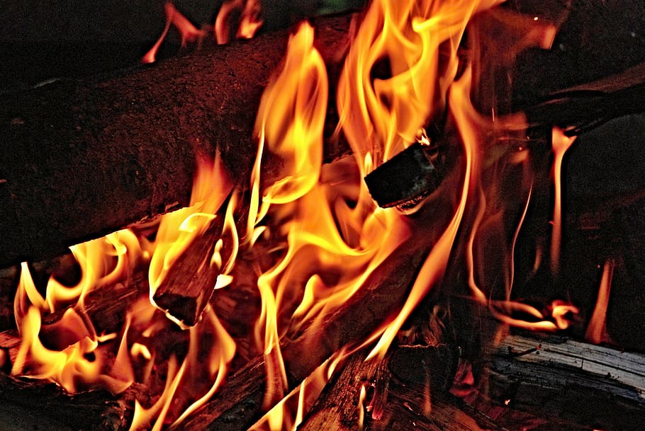 closeup photo of burning firewood, flames, yellow, red yellow HD wallpaper