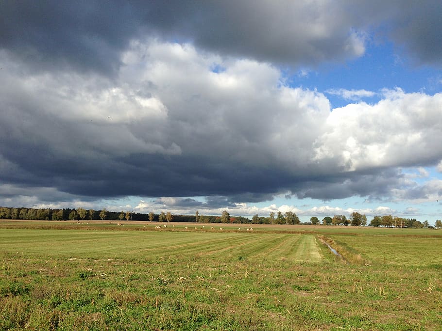 landscape, clouds, meadow, cloud - sky, environment, field HD wallpaper