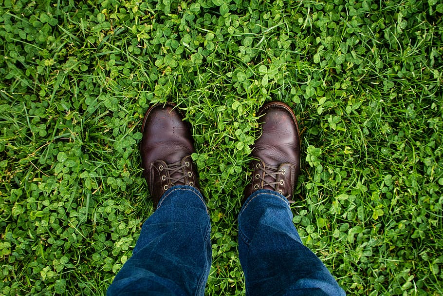 person in blue jeans and wearing pair of brown leather dress shoes standing on green grass, person standing on green plants HD wallpaper