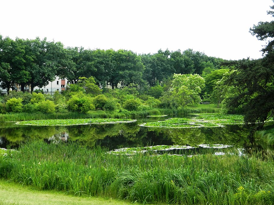 view, lake, tile, water, park, reflection, wilderness, nature HD wallpaper