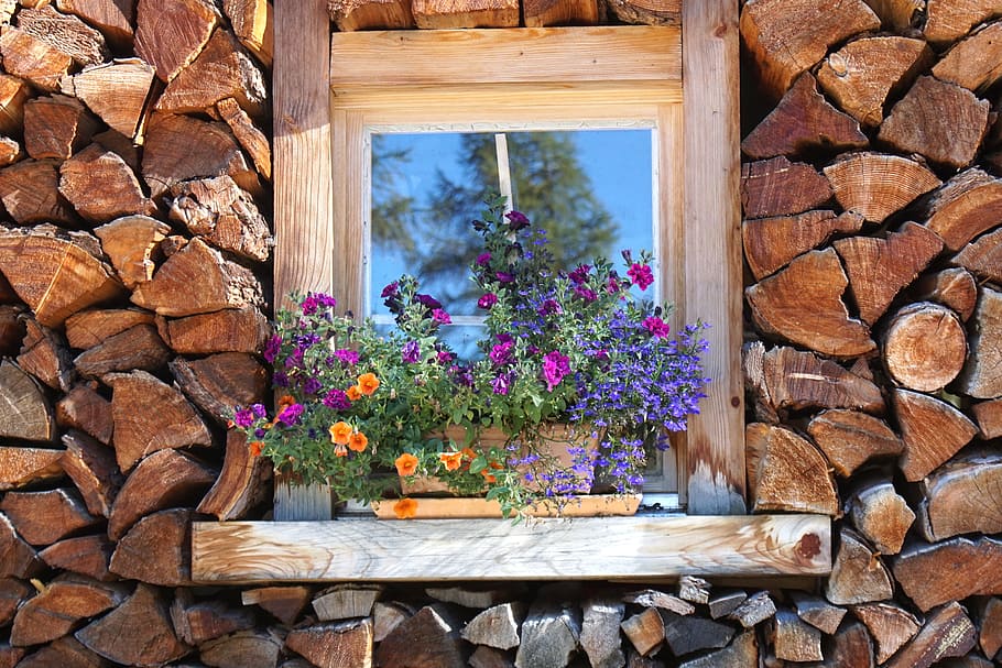 purple, pink, and orange flowers on brown pot, holzstapel, window, HD wallpaper
