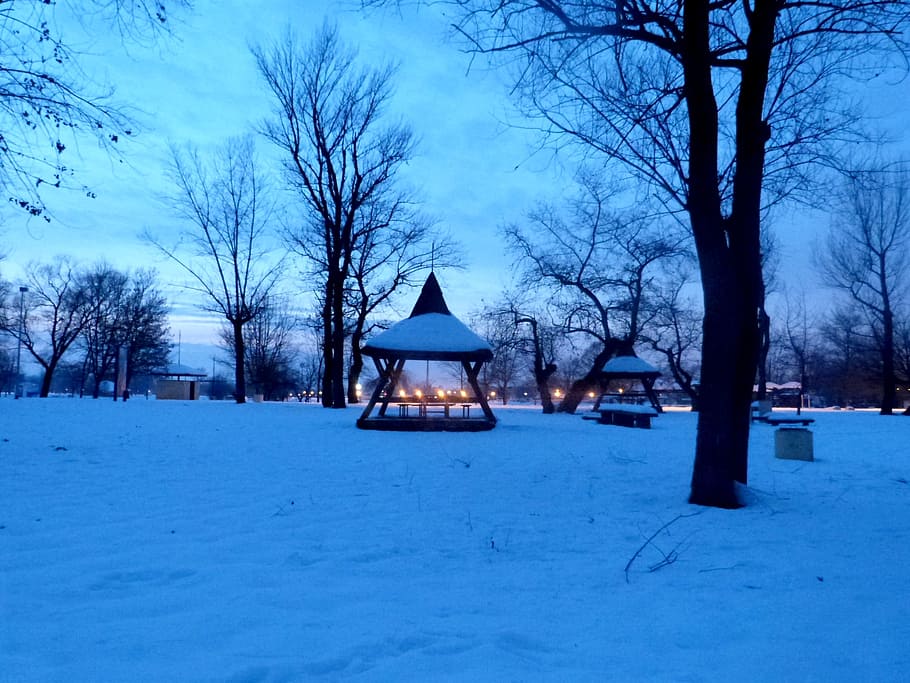 winter, sunset, landscape, cold, season, outdoors, scene, frozen HD wallpaper