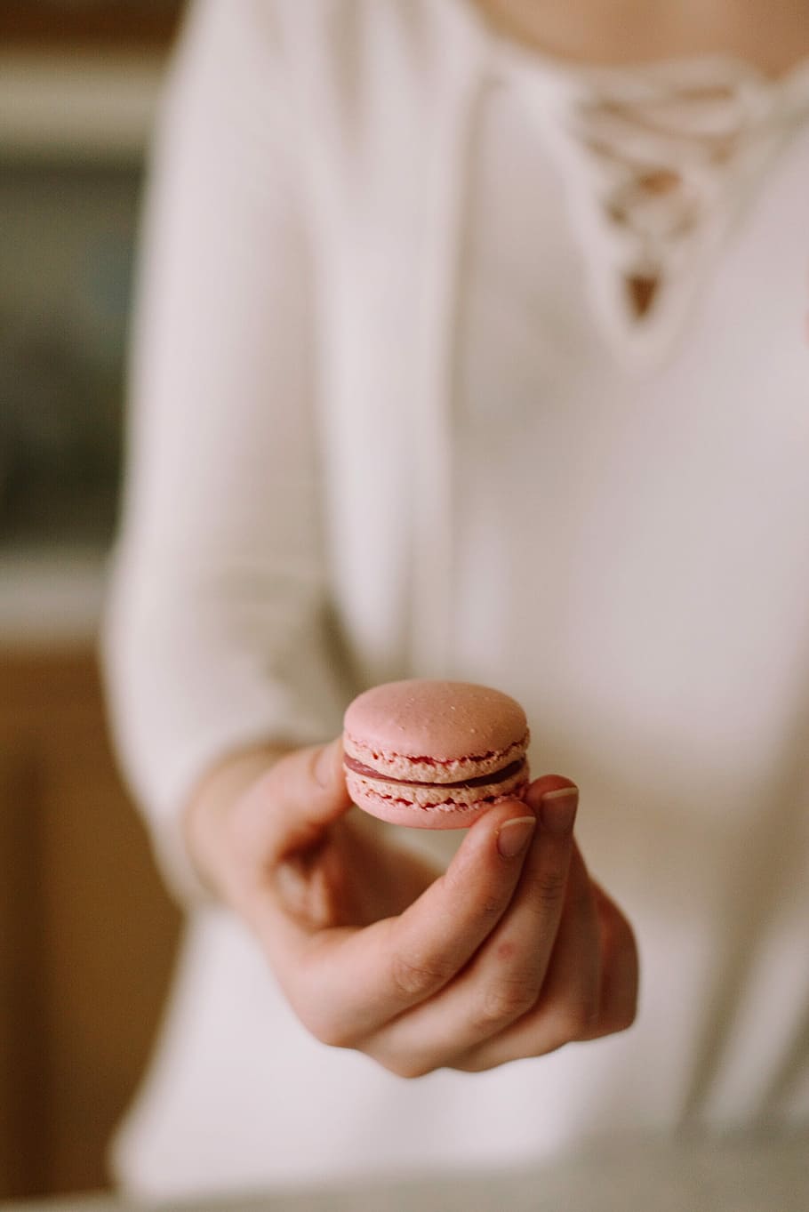 person holding pink macaroon, person holding French macaron, sweet HD wallpaper