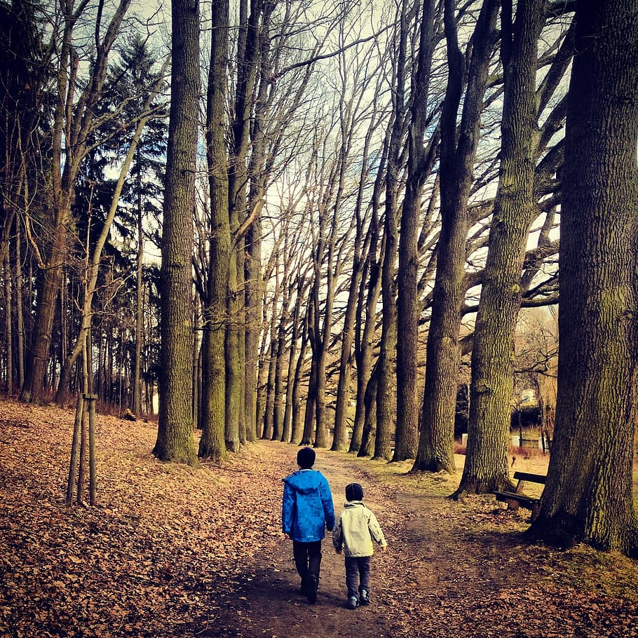 trees, autumn, children, nature, foliage, landscape, leaves HD wallpaper