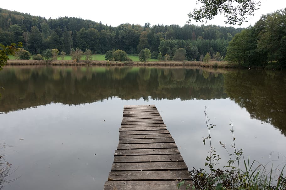 Lake, Pond, Web, Nature, Water, landscape, forest, waters, bank HD wallpaper