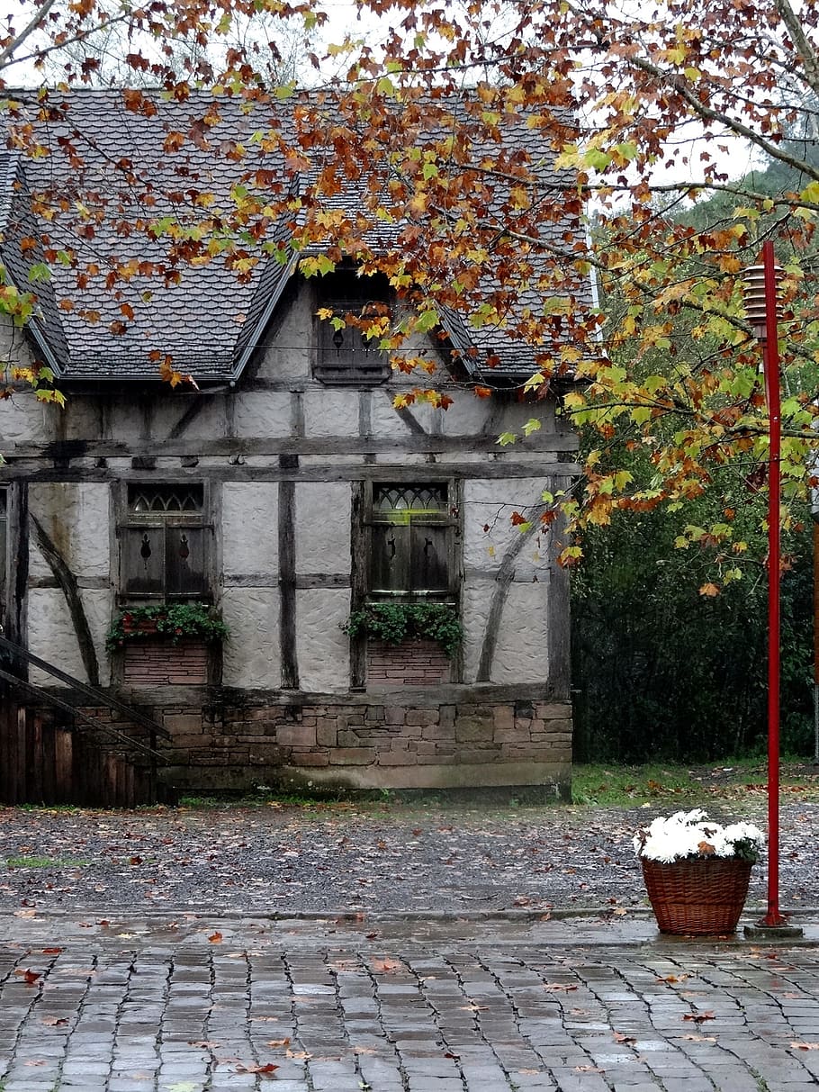 Old House, Timber Framed, rain, autumn, outdoors, day, building exterior HD wallpaper
