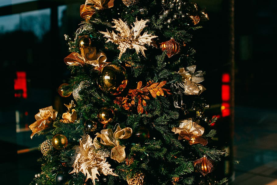 brown and gold-colored ornaments on green Christmas tree, decoration HD wallpaper