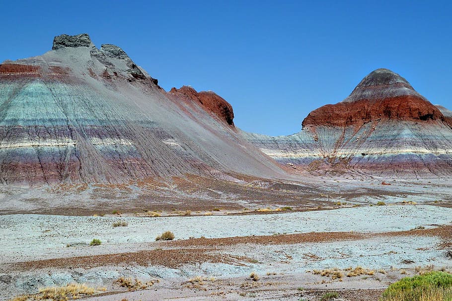 Colorful, Petrified Forest National Park, arizona, usa, desert, HD wallpaper