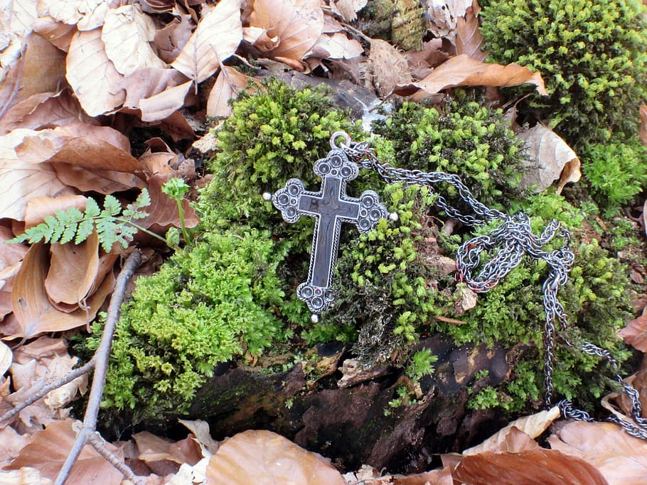 Cross, Crucifix, Moss, Root, Leaves, Log, tree stump, bemoost HD wallpaper