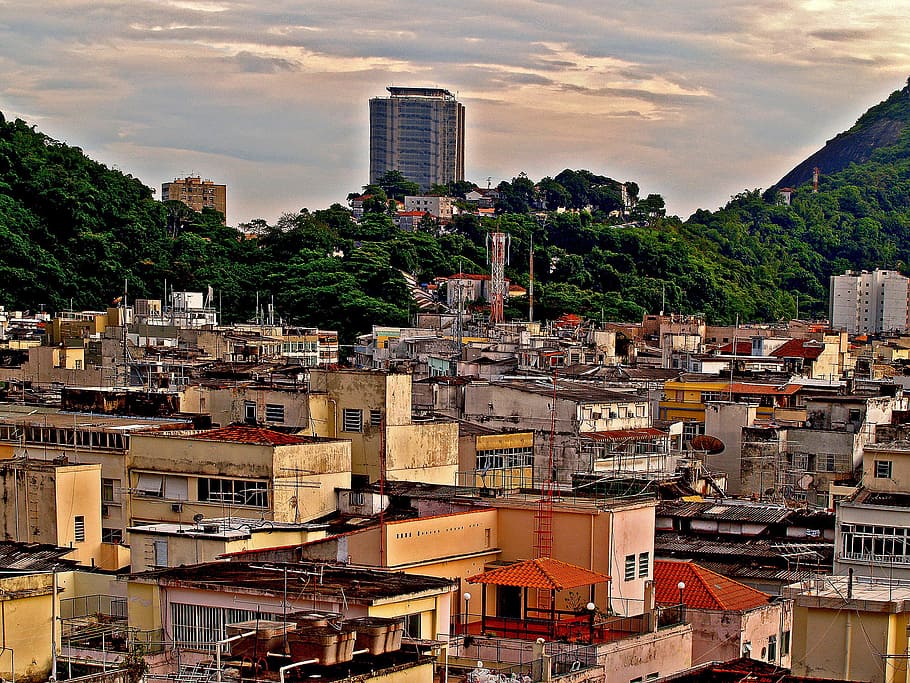 Hd Wallpaper Aerial Photography Of Buildings Near Trees Favelas Sheds Rio De Janeiro Wallpaper Flare