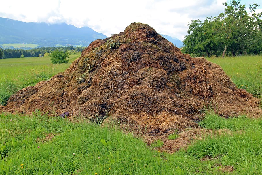 lump of soil, dung, compost heap, rallying point, crap, waste