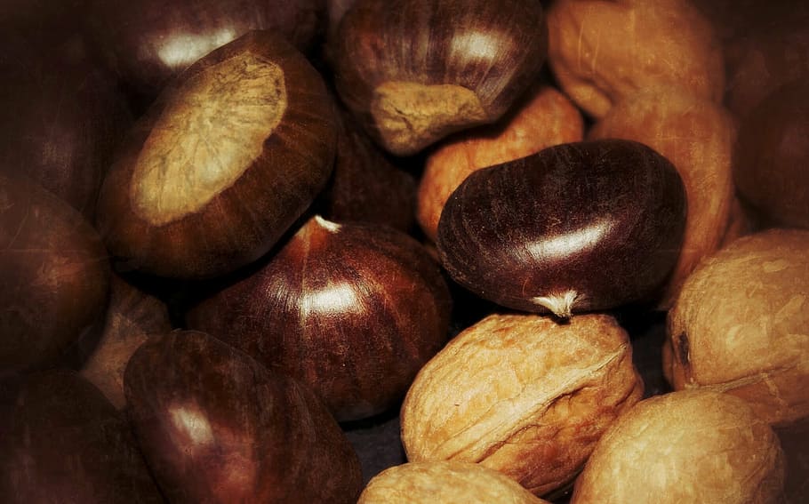 chestnuts, walnuts, november, food, food and drink, freshness HD wallpaper