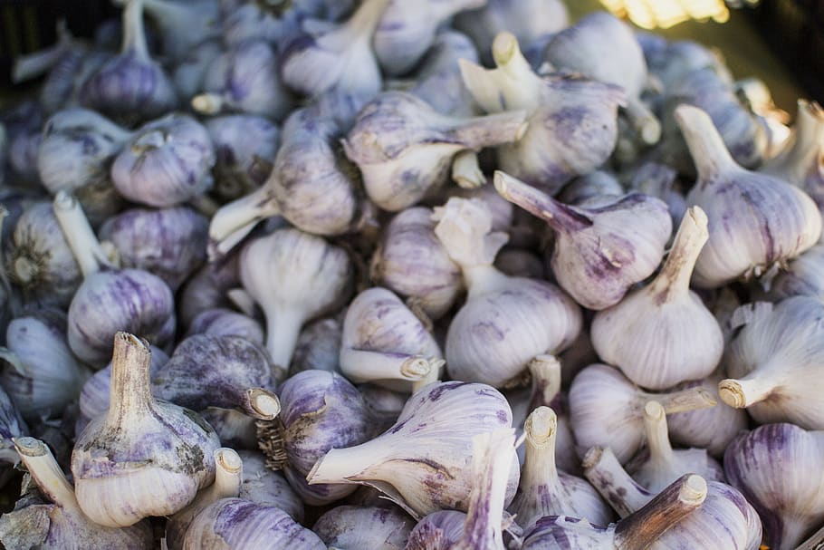 garlic, healthy, produce, grocery, farm, table, market, trade, HD wallpaper