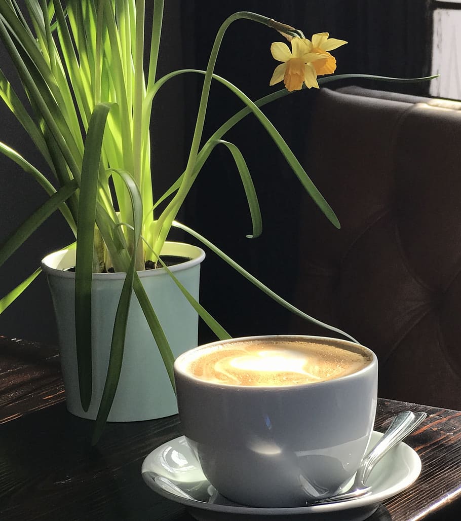 Coffee, Cafe, Drink, Cup, Espresso, breakfast, beverage, cappuccino HD wallpaper