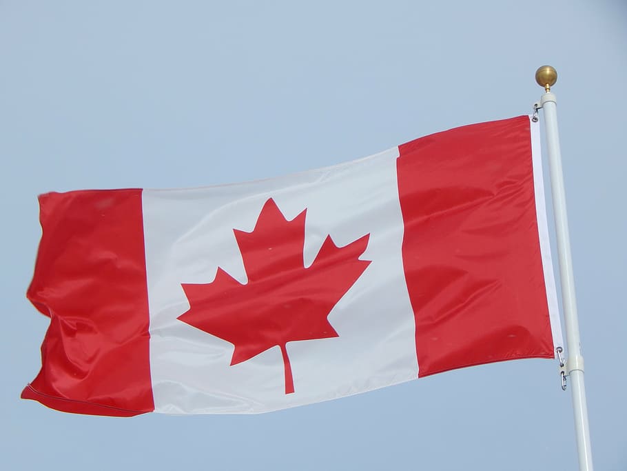 HD wallpaper: Canada flag, canadian flag, maple leaf, national, patriotic,  patriotism | Wallpaper Flare