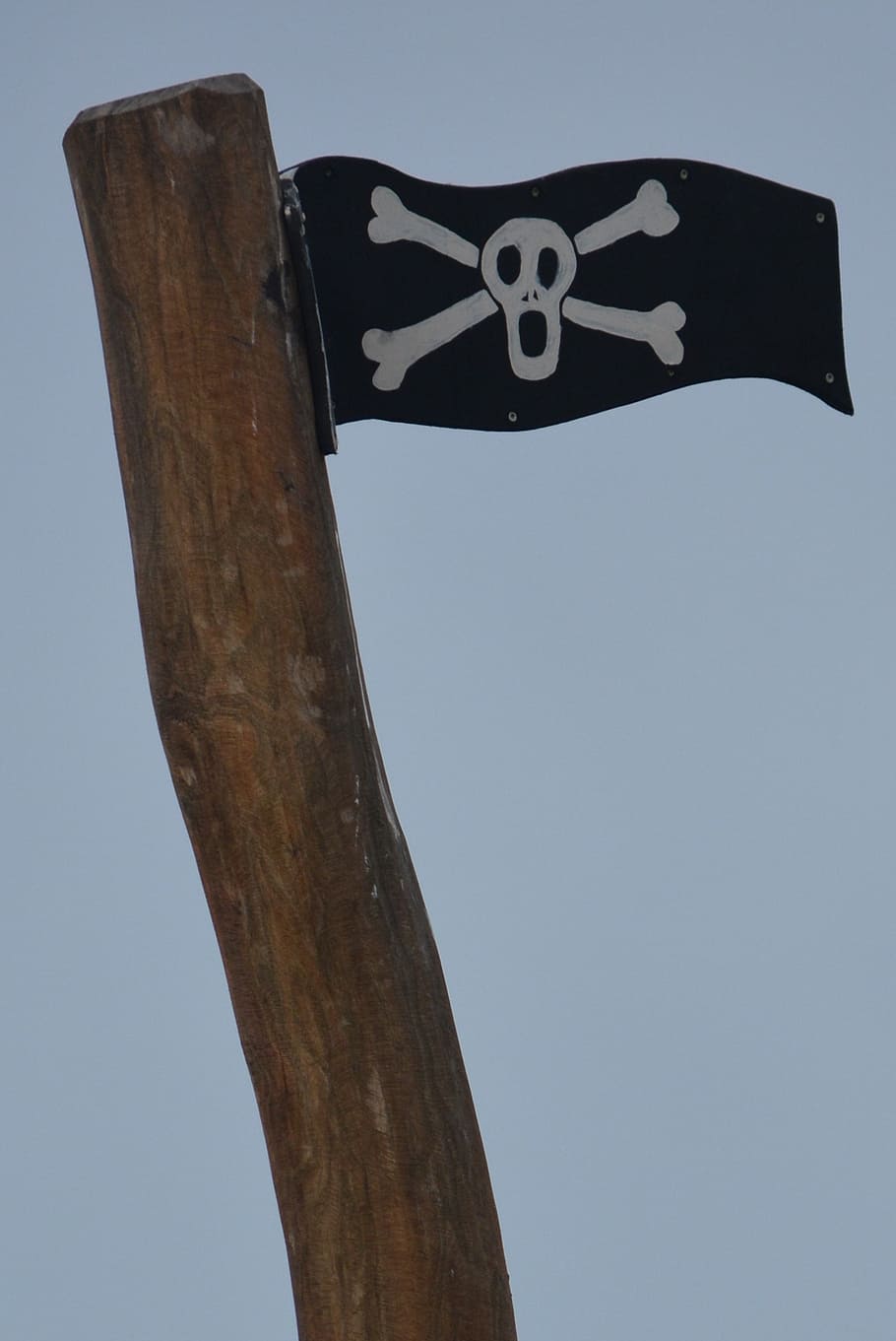 flag, pirate, skull, low angle view, sky, tree, no people, nature HD wallpaper