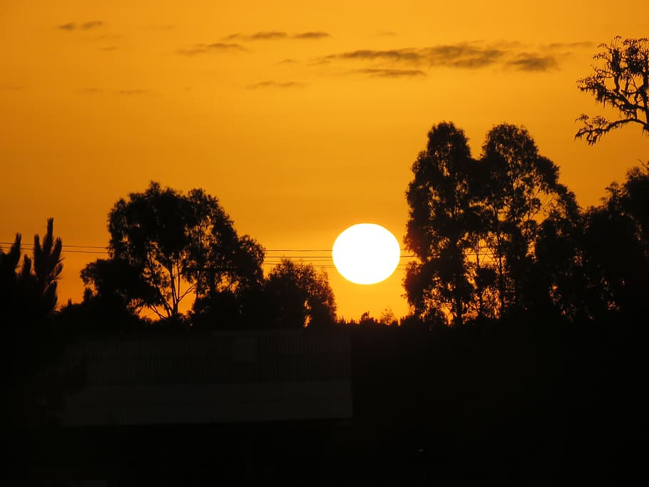 eventide, sol, sunset, horizon, nature, landscape, sky, silhouette HD wallpaper