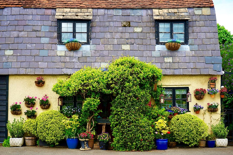 house beside green leafed plants, Cottage, Village, Home, Building, HD wallpaper