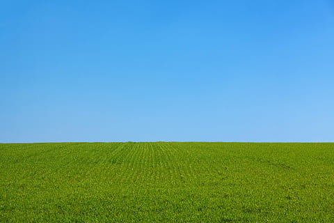 green grass field, background, blue, clean, clear, day, dom HD wallpaper