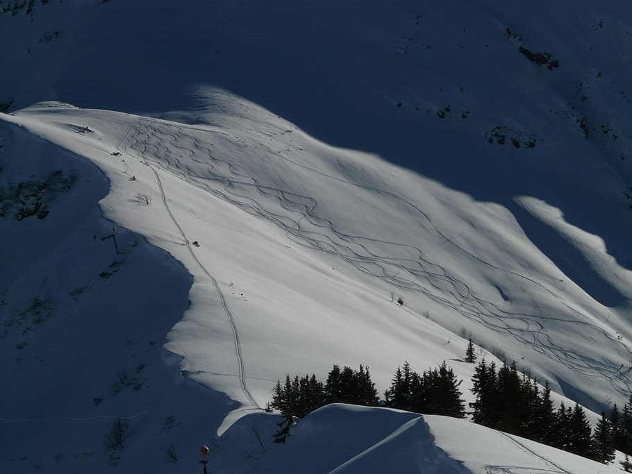 Skiing, Departure, Wag, Trace, Curves, powder snow, wintry HD wallpaper