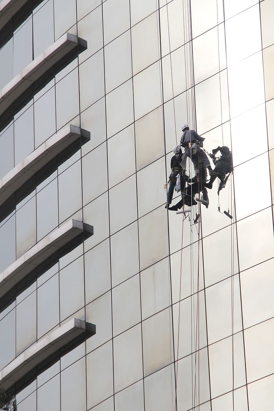two man hanging beside building, window cleaner, window cleaning, HD wallpaper