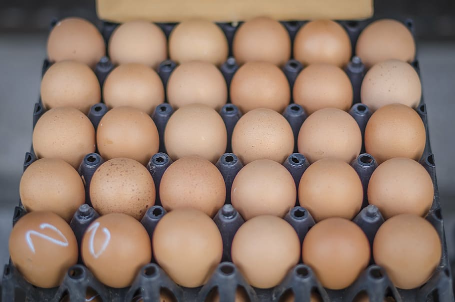 eggs, food, easter, breakfast, cook, brown, fresh, healthy HD wallpaper
