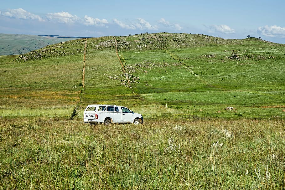 white single cab pickup truck with camper shell on grass field during daytime HD wallpaper