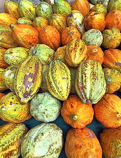 Cocoa, Ghana, mat, food and drink, market, large group of objects HD wallpaper