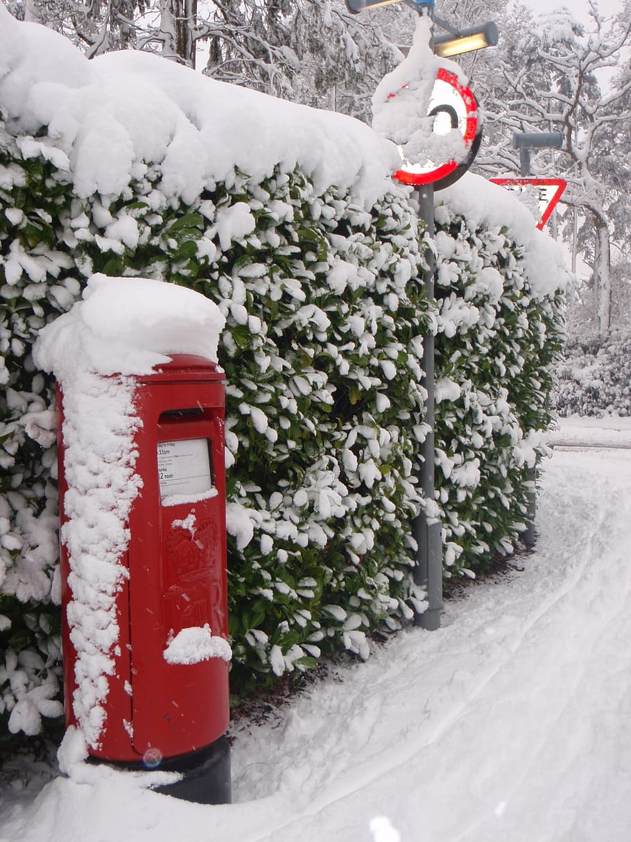 snow, cold, winter, post box, cold temperature, plant, nature HD wallpaper
