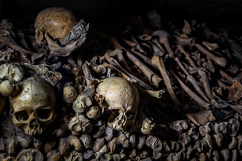 human bones, catacombs, underground ossuaries, paris, cemetery HD wallpaper