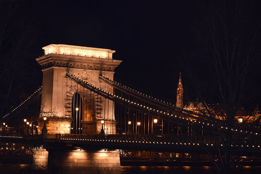 budapest, bridge, at night, chain Bridge, bridge - Man Made Structure HD wallpaper