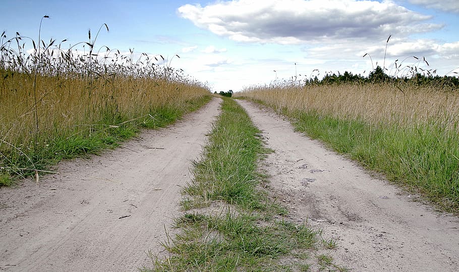 way, field, the path, fields, village, sand, dust, wydeptać HD wallpaper