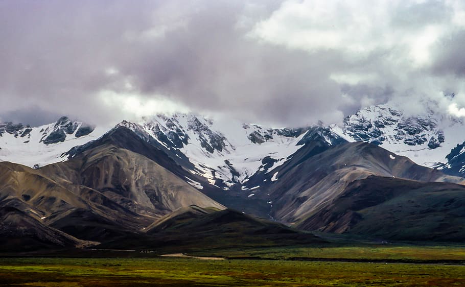 gray mountain range covered with snows at daytime, gray mountains covering with fogs HD wallpaper