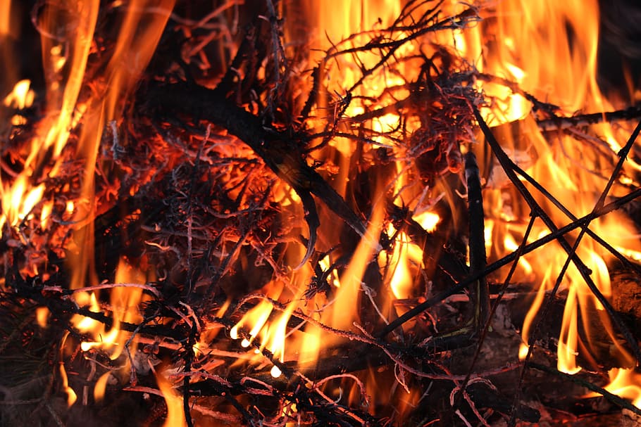Flames, Fire, Burning, Wood, Baking, toasting, fireplace, ash HD wallpaper