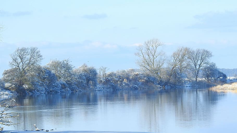 nature, tree, winter, waters, wood, landscape, lake, plant HD wallpaper