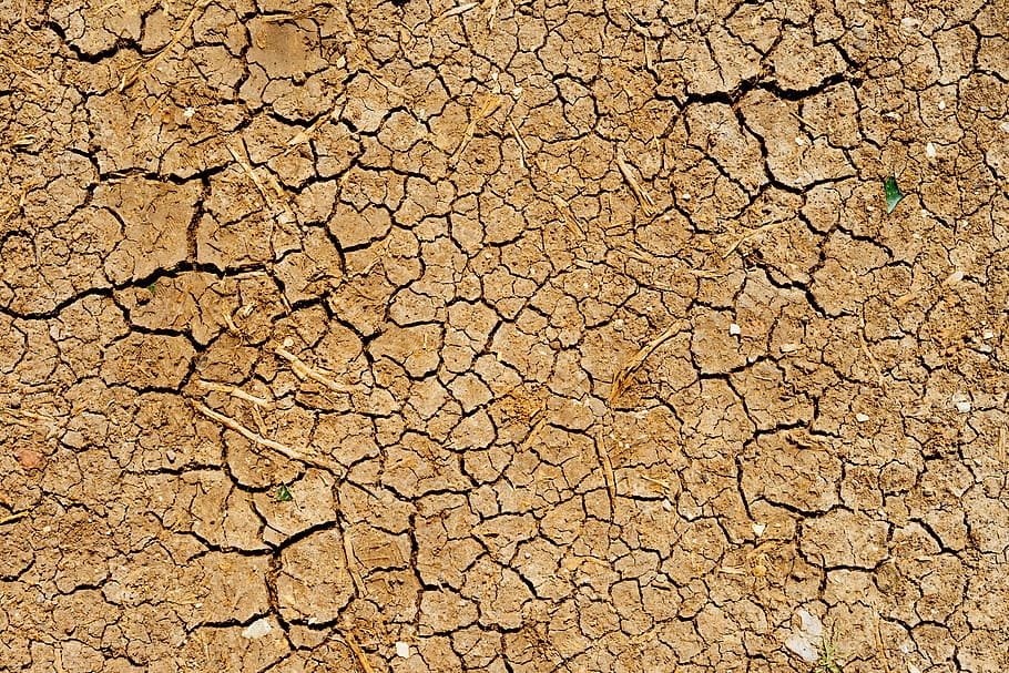 dry soil, aerial view photography of soil ground, texture, cracked HD wallpaper