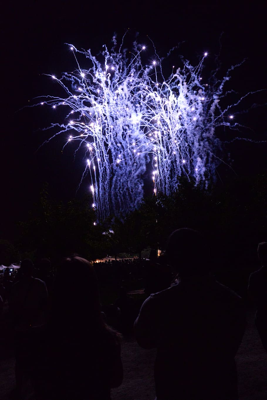 Festival, Fireworks, summer, night, celebration, firework display HD wallpaper