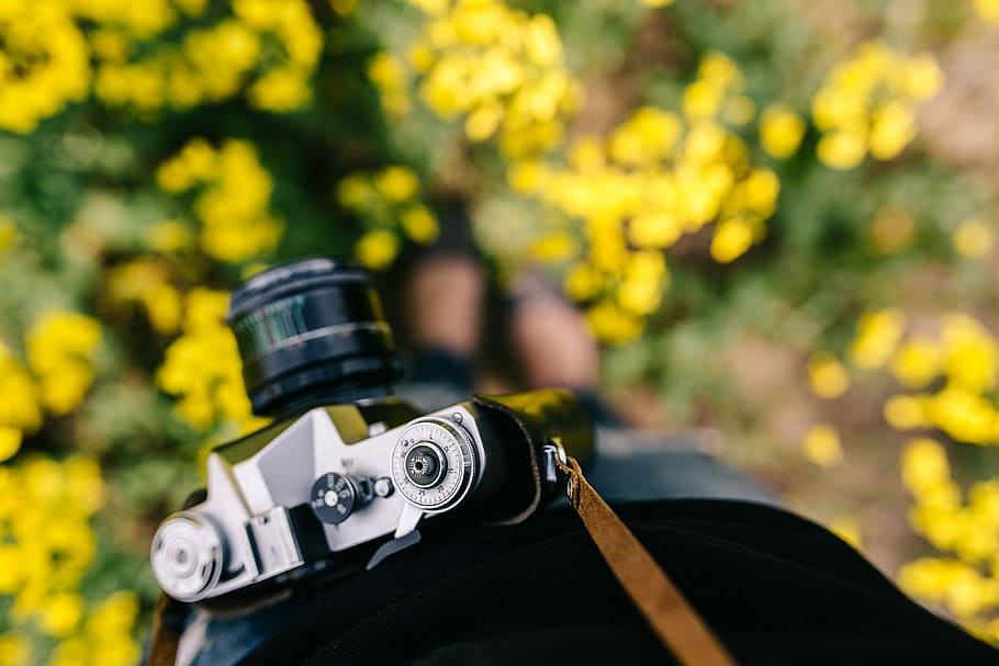Woman with vintage camera in the field of blooming rapes, summer