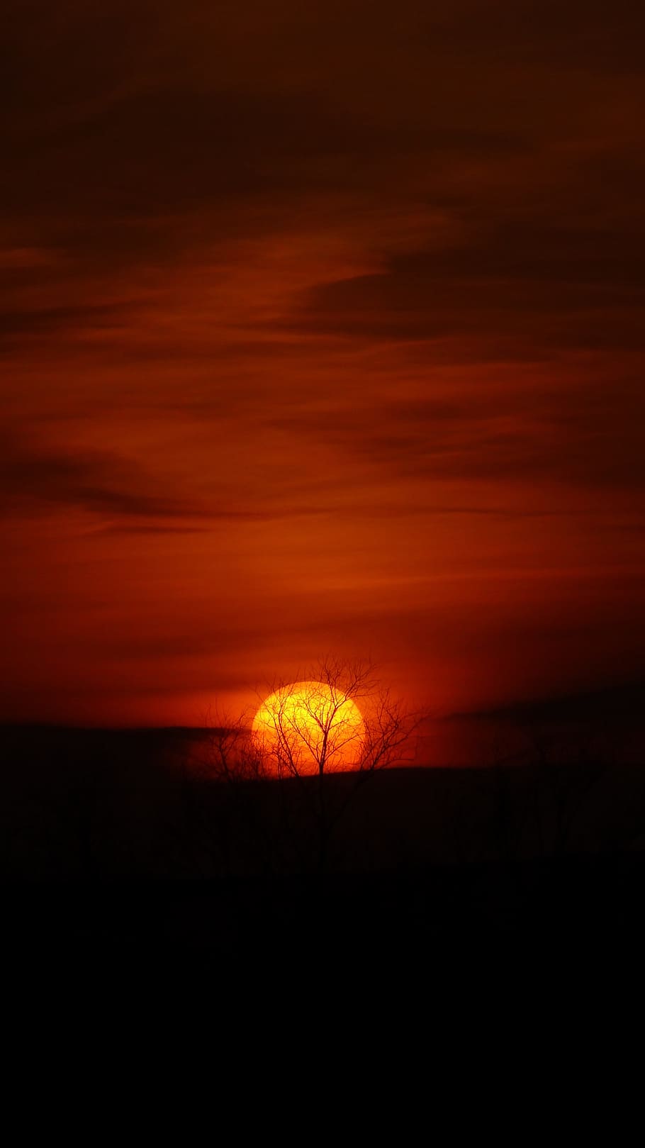 Sunset, Evening, Sky, nature, orange Color, landscape, dusk HD wallpaper