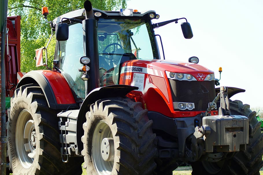 Agriculture, Massey Ferguson, Ferguson, Tractors, red, urgency