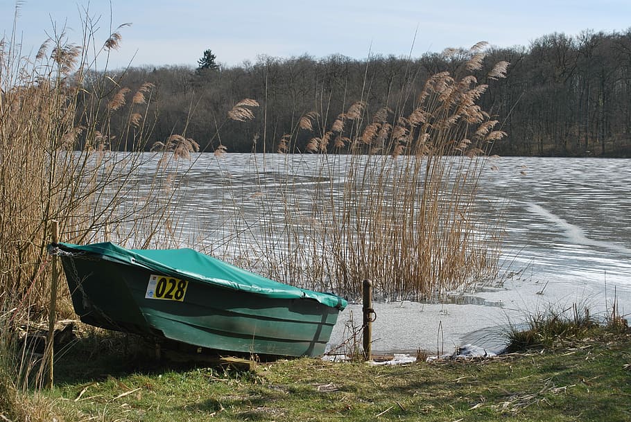 nature, waters, lake, tree, nautical vessel, mode of transportation HD wallpaper