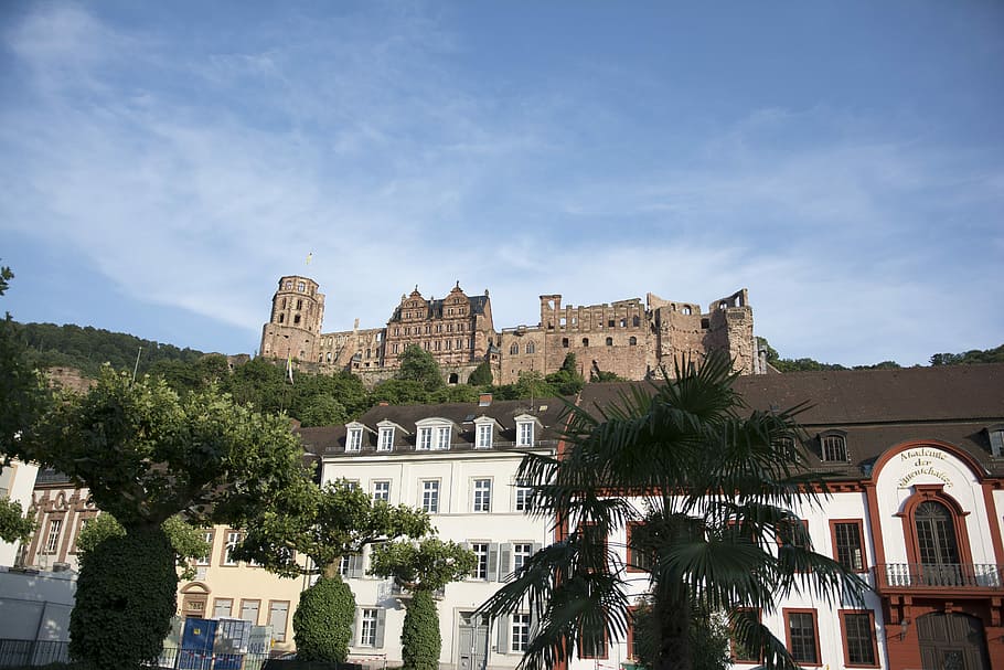 Castle, Heidelberg, Old Town, architecture, built structure, HD wallpaper