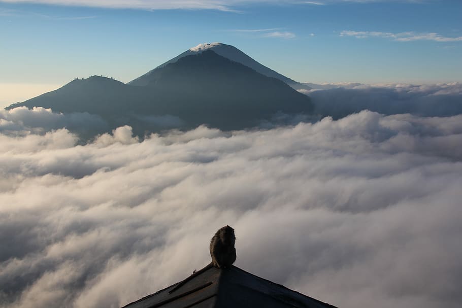 Boss of the mountain, top view of mountain with clouds, monkey HD wallpaper