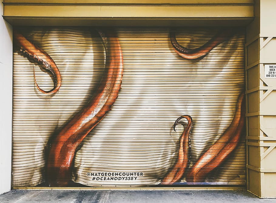 red and white octopus tentacles-printed shutter door, brown tentacles graffiti HD wallpaper