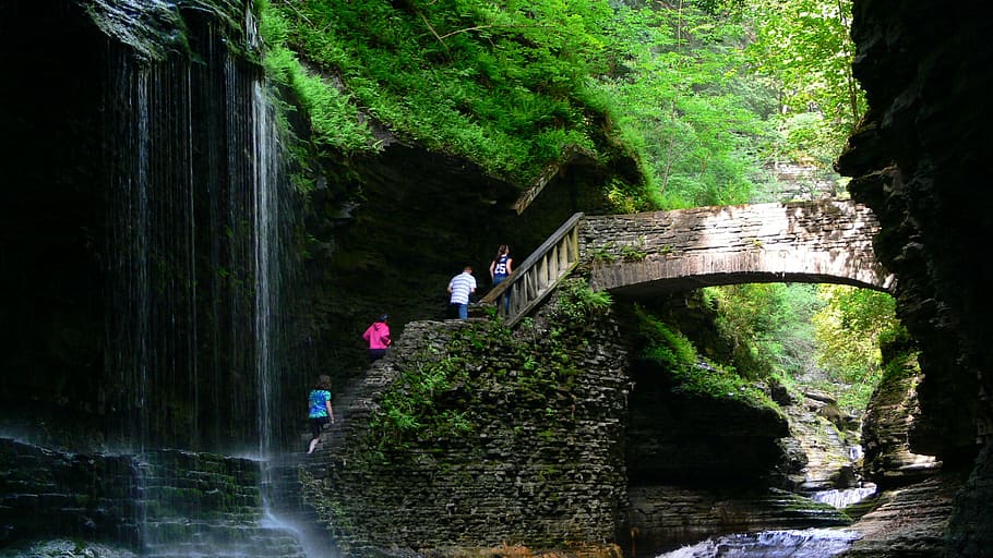 Watkins Glen, Waterfalls, Bridge, Summer, tourism, ny, tree, HD wallpaper