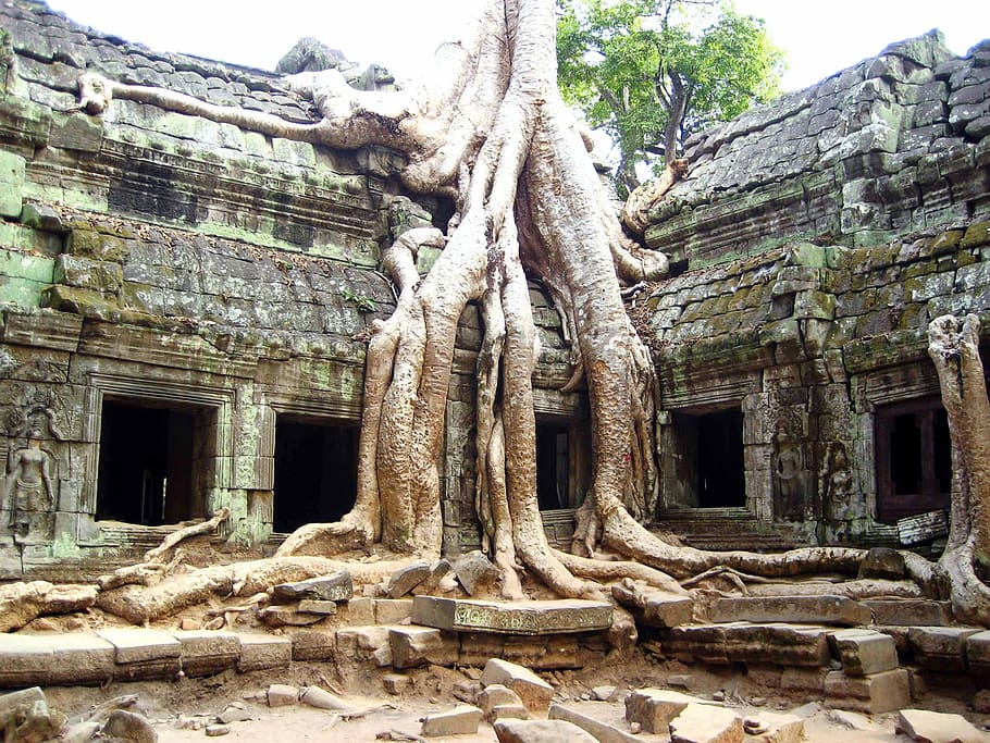 cambodia, ruins, ancient, asia, travel, temple, angkor, wat, HD wallpaper