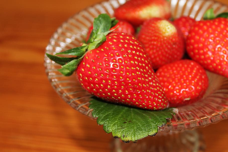 strawberries, fruit bowl, shell, glass bowl, leaf, green, red, HD wallpaper