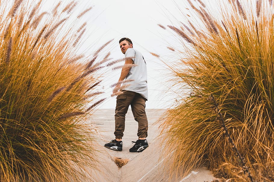 man looking back on tall brown grass, person standing in the middle of plants during daytime HD wallpaper