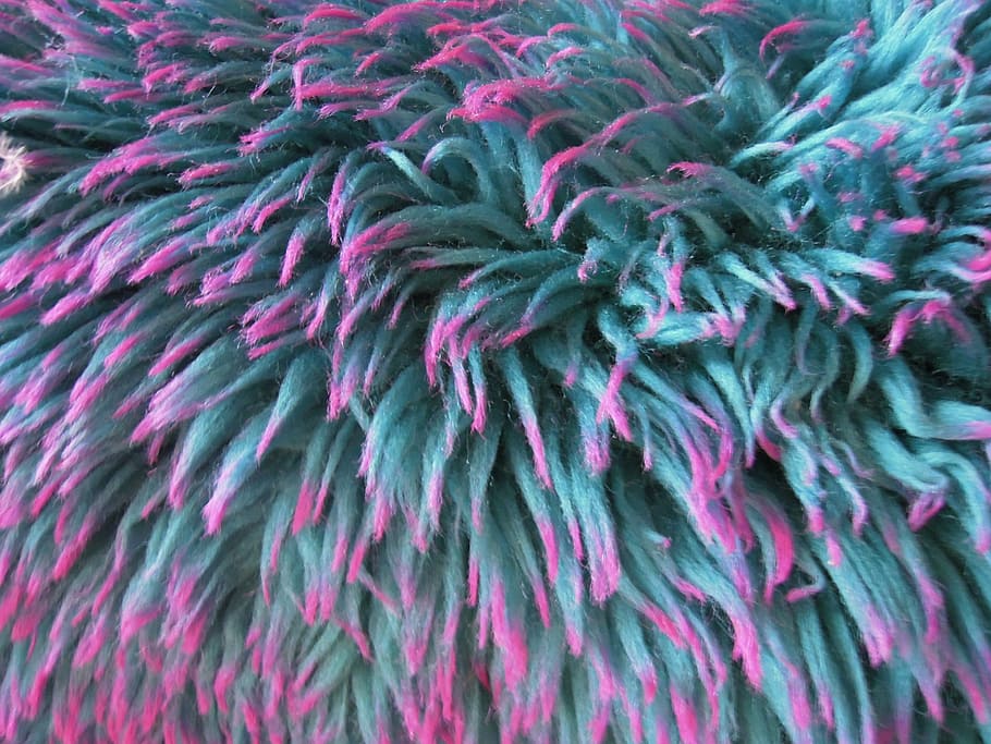 foux, fur, blue, pink, backgrounds, full frame, textile, wool HD wallpaper