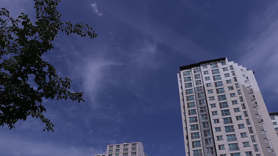 sky, clouds, building, buildings, tree, trees, leaf, leaves HD wallpaper